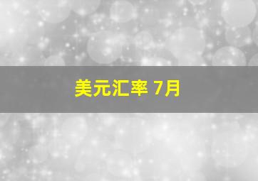 美元汇率 7月